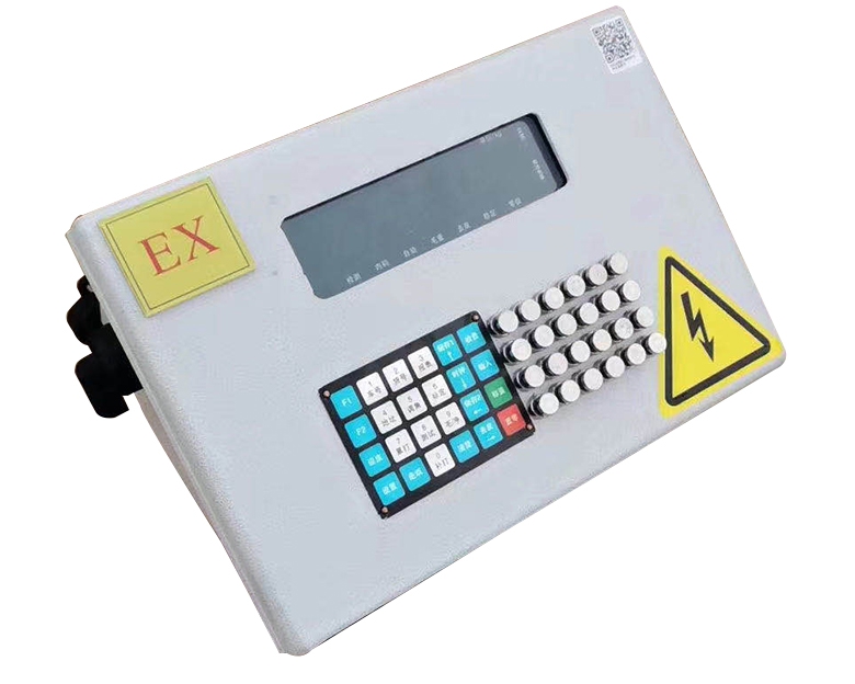 数字防爆仪表